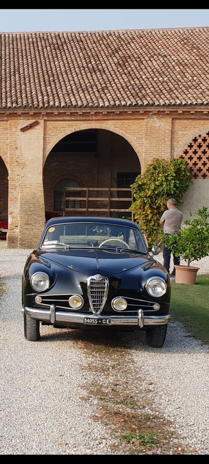 Screenshot_20220620-130954_Gallery